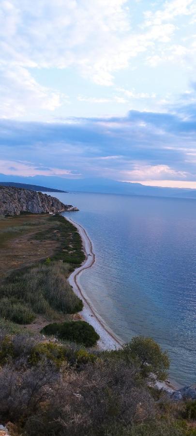 Vice Versa Elegant Studio 1 Nafplion Exteriör bild
